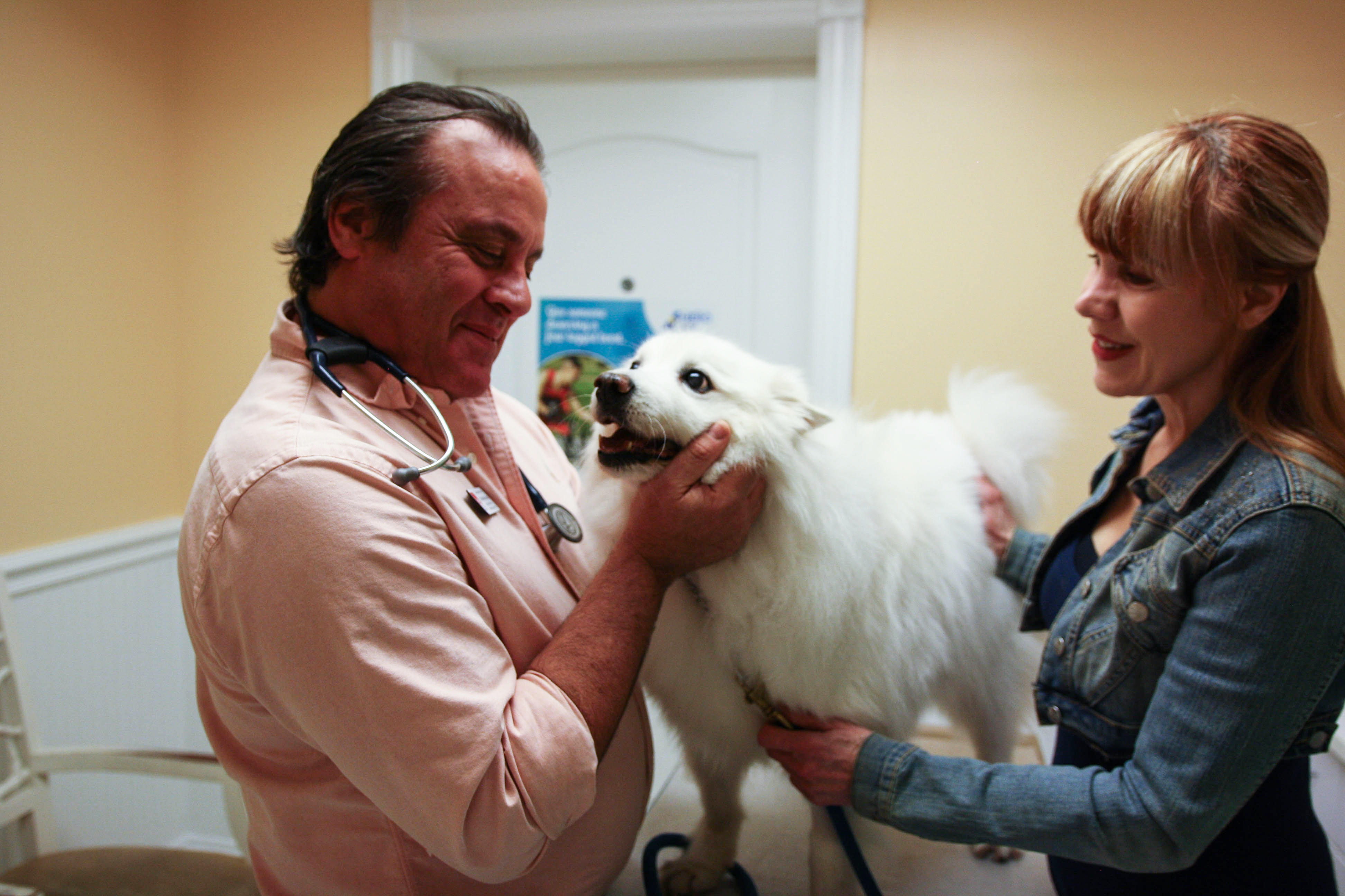 Dr. Anthony Krawitz greets a happy patient before beginning an annual wellness exam. Calusa Veterinary Center Boca Raton (561)999-3000