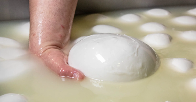 Images Caseificio Mozzaricca - Produzione Ricotta e Mozzarella di Bufala