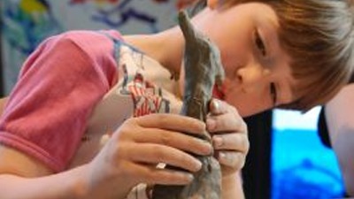 Images IL Crocodill