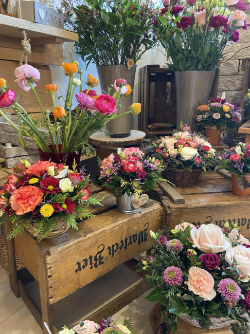 Bilder Fleurs d'Elfes