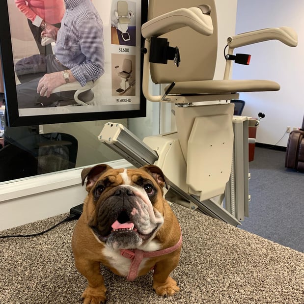 Images 101 Mobility of Pittsburgh