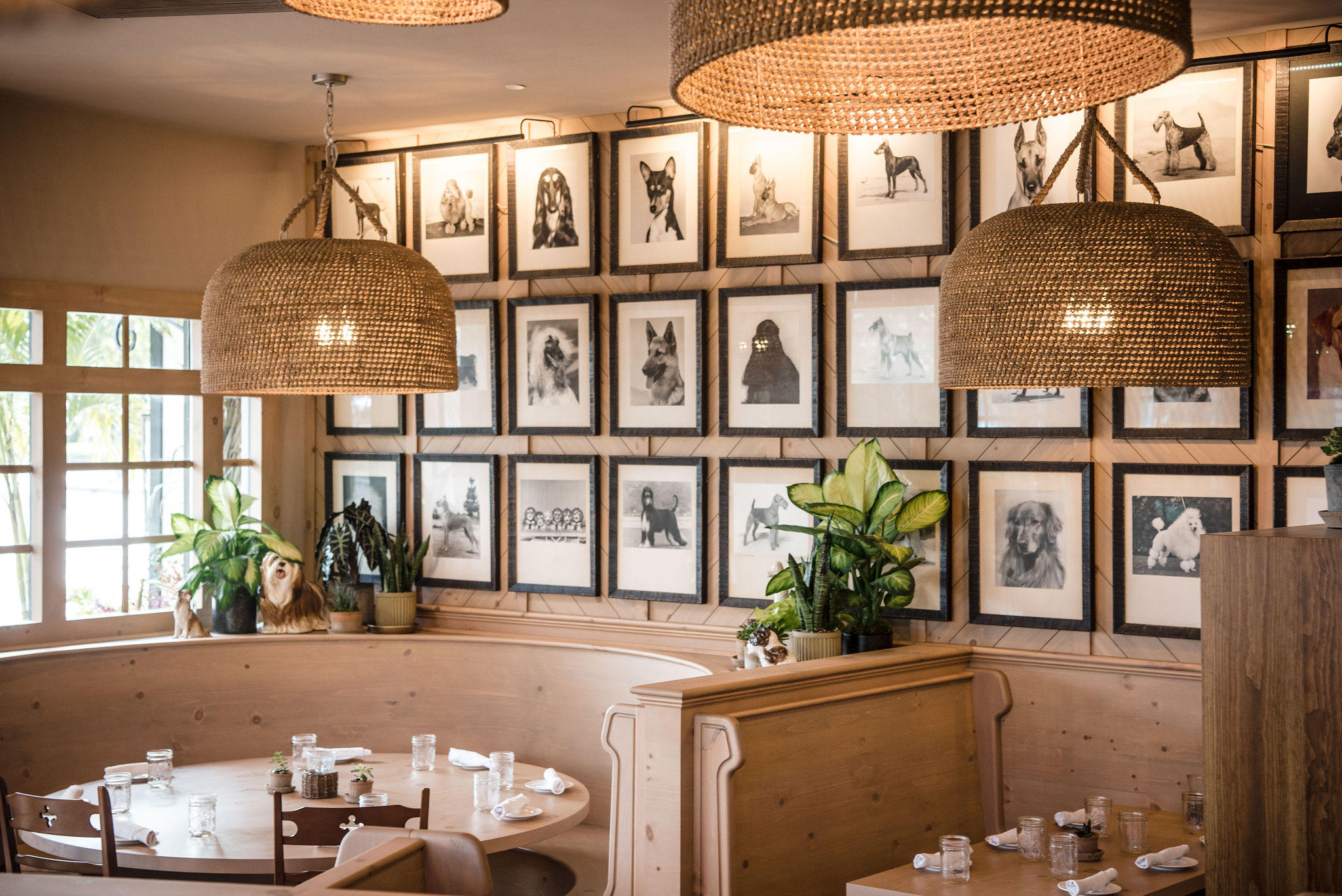 White Dog Cafe Glen Mills