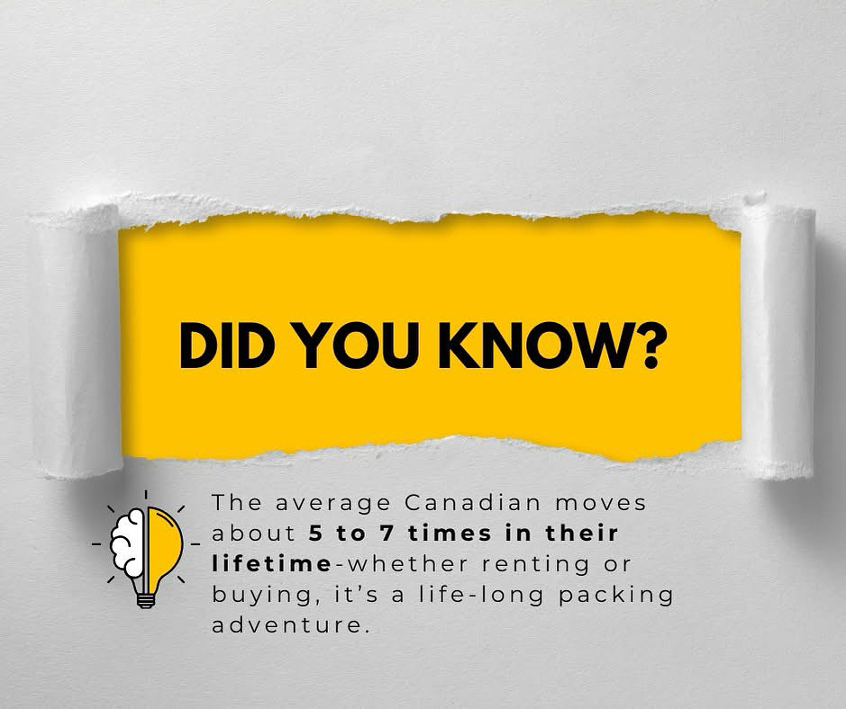 Images My City Movers | Surrey Movers