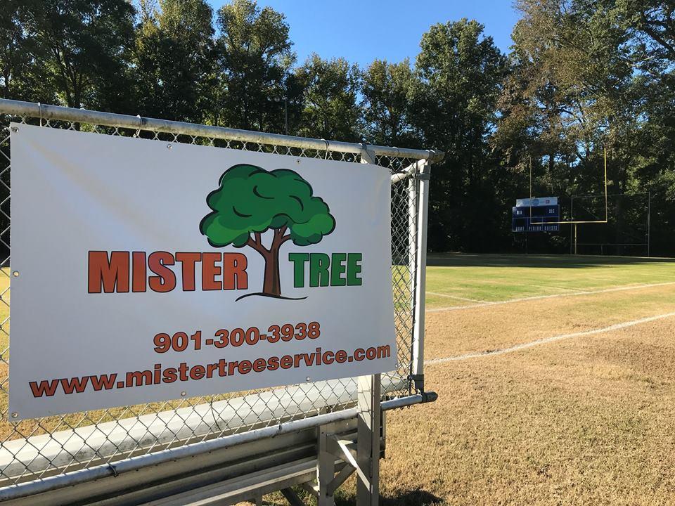 Mister Tree Service Photo