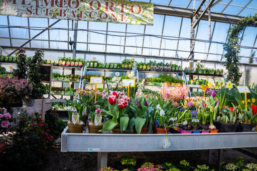 Images Azienda Agricola Florovivaista Toscogarden
