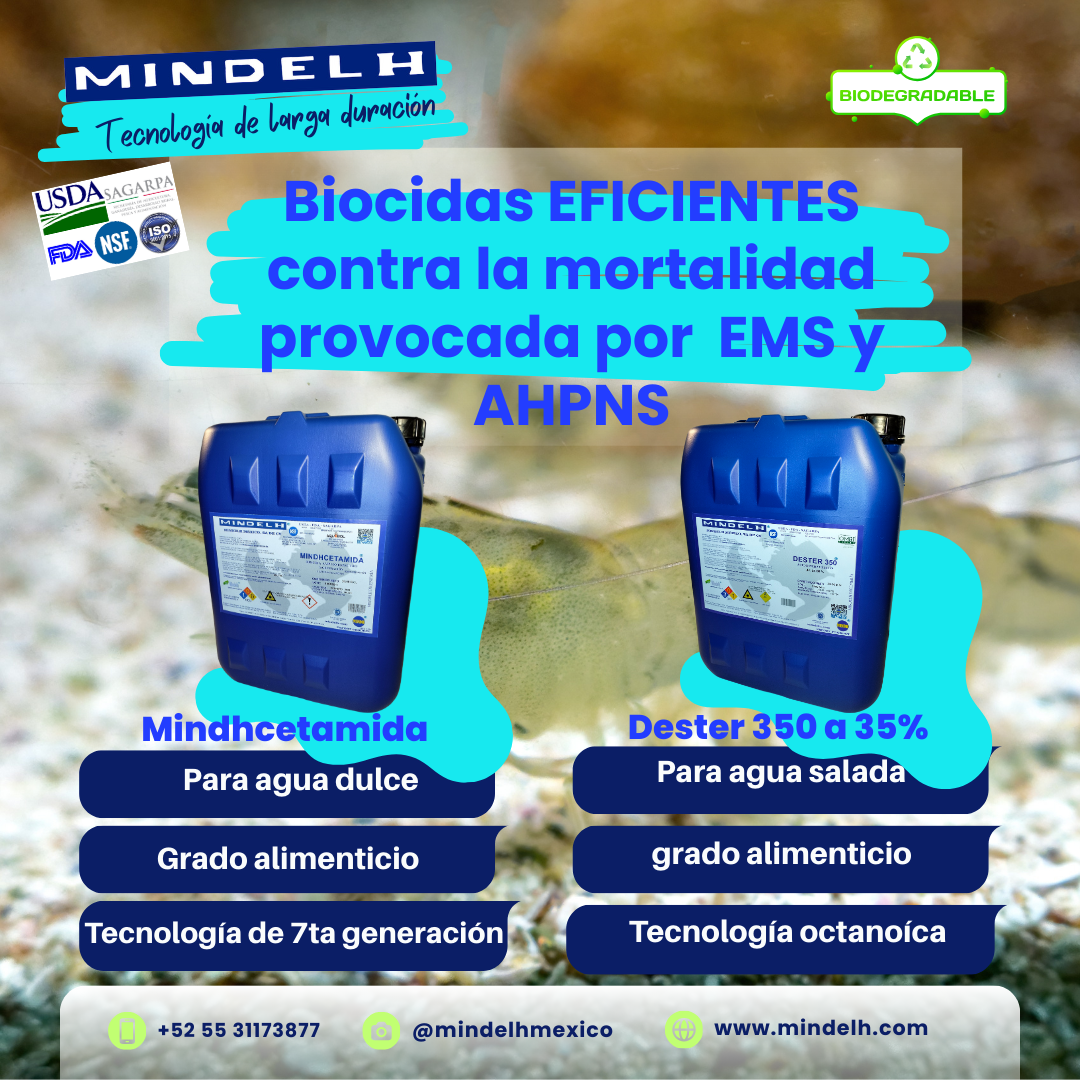 Images MINDELH MÉXICO