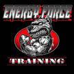 Energy Force Training Logo
