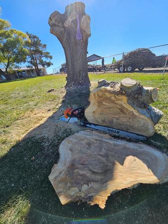 Images H & S Tree Care