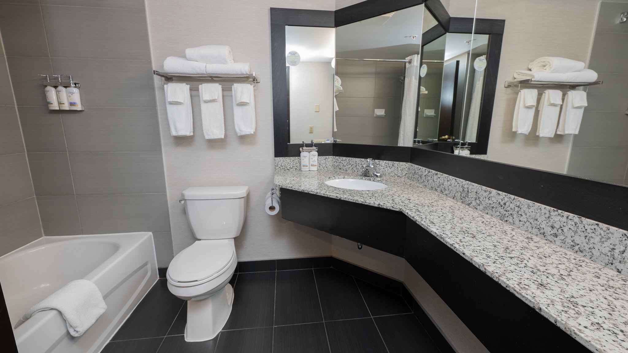 Images Holiday Inn Montreal Centreville Downtown by IHG