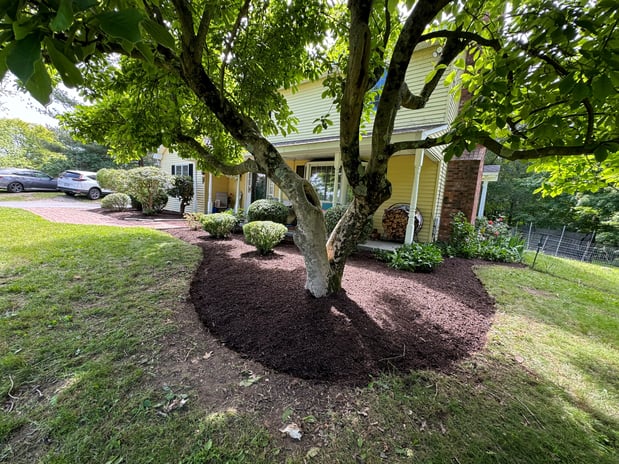Images Super Landscaping.