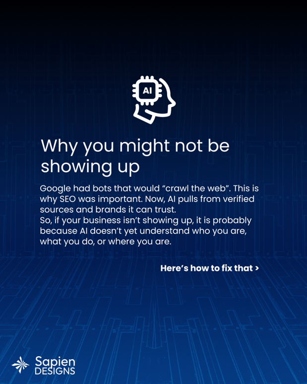 Images Sapien Designs SEO digital marketing hub