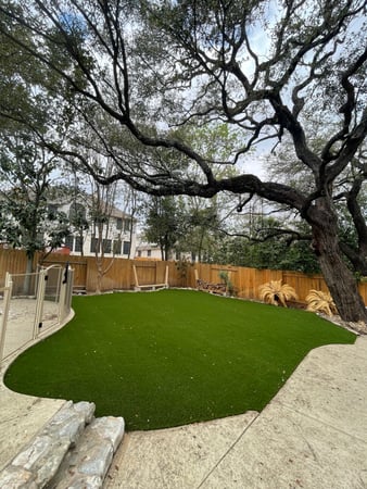 Images Waterloo Turf Austin