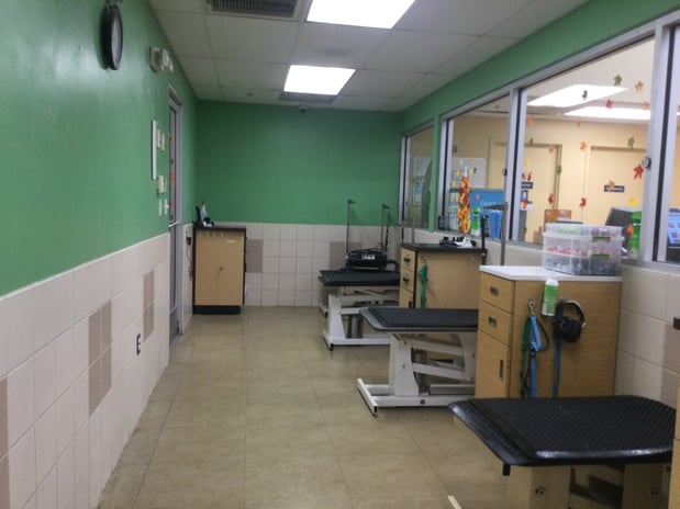 Images Petco Grooming