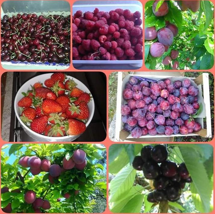 Images Le Bottesele