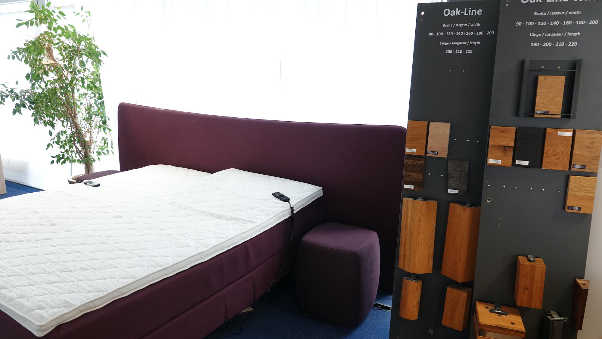 Kundenbild groß 7 Göpfert - gesund schlafen I Matratzen & Betten