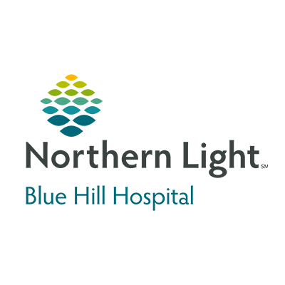 Northern Light Blue Hill Hospital Logo