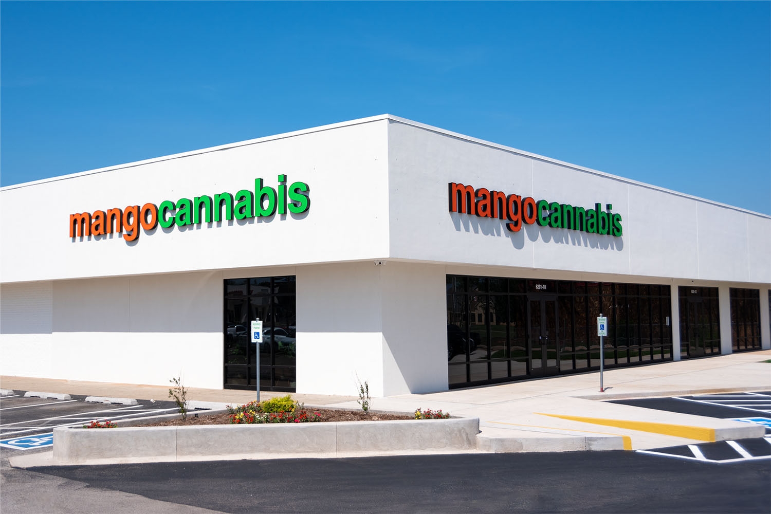 Mango Cannabis Weed Dispensary NW Expressway