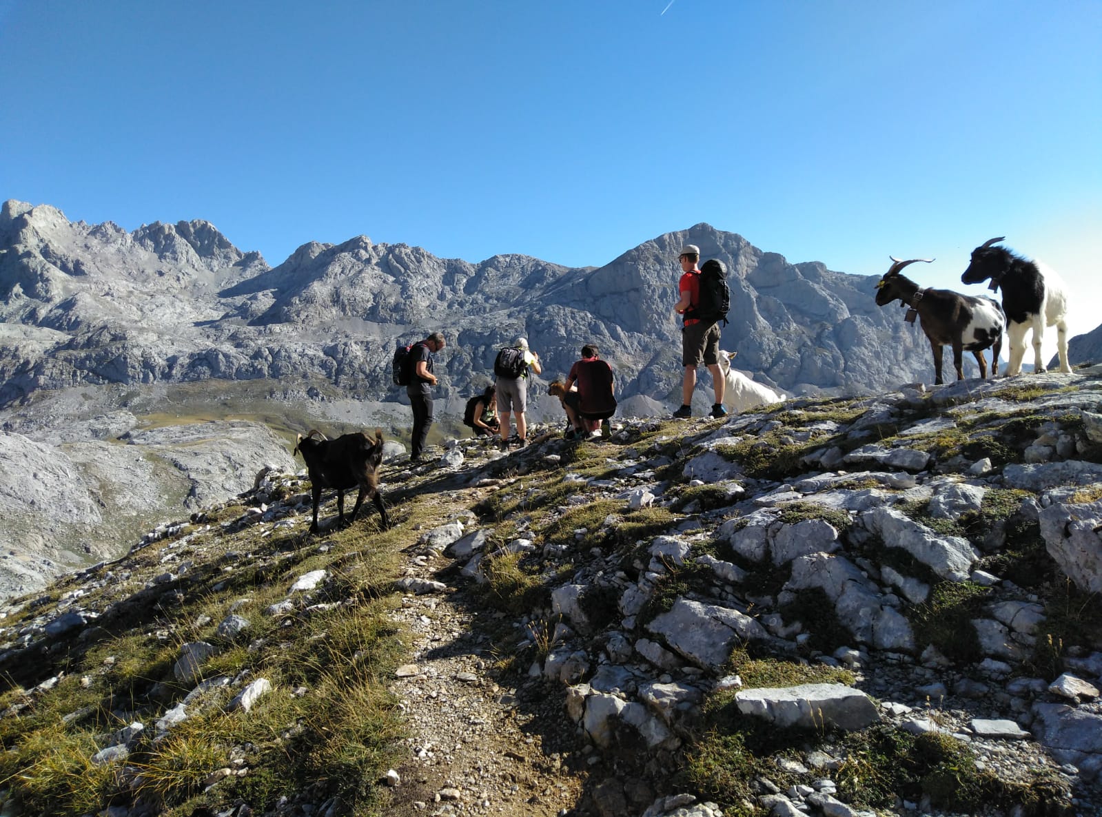 Images Rumbo a Picos