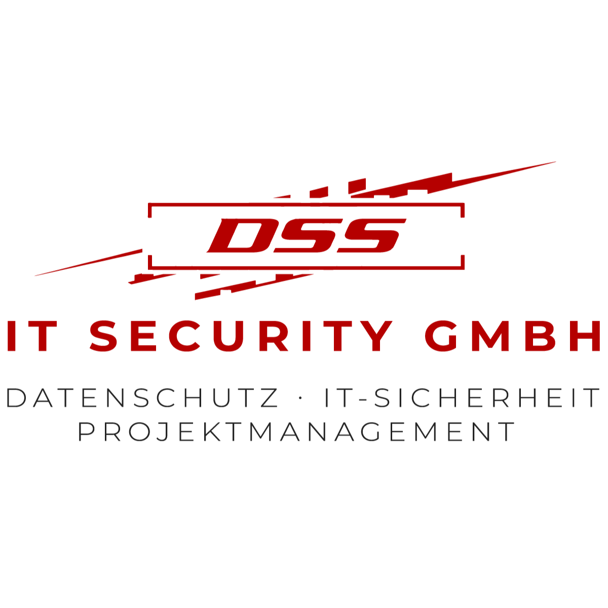 DSS IT Security GmbH Logo