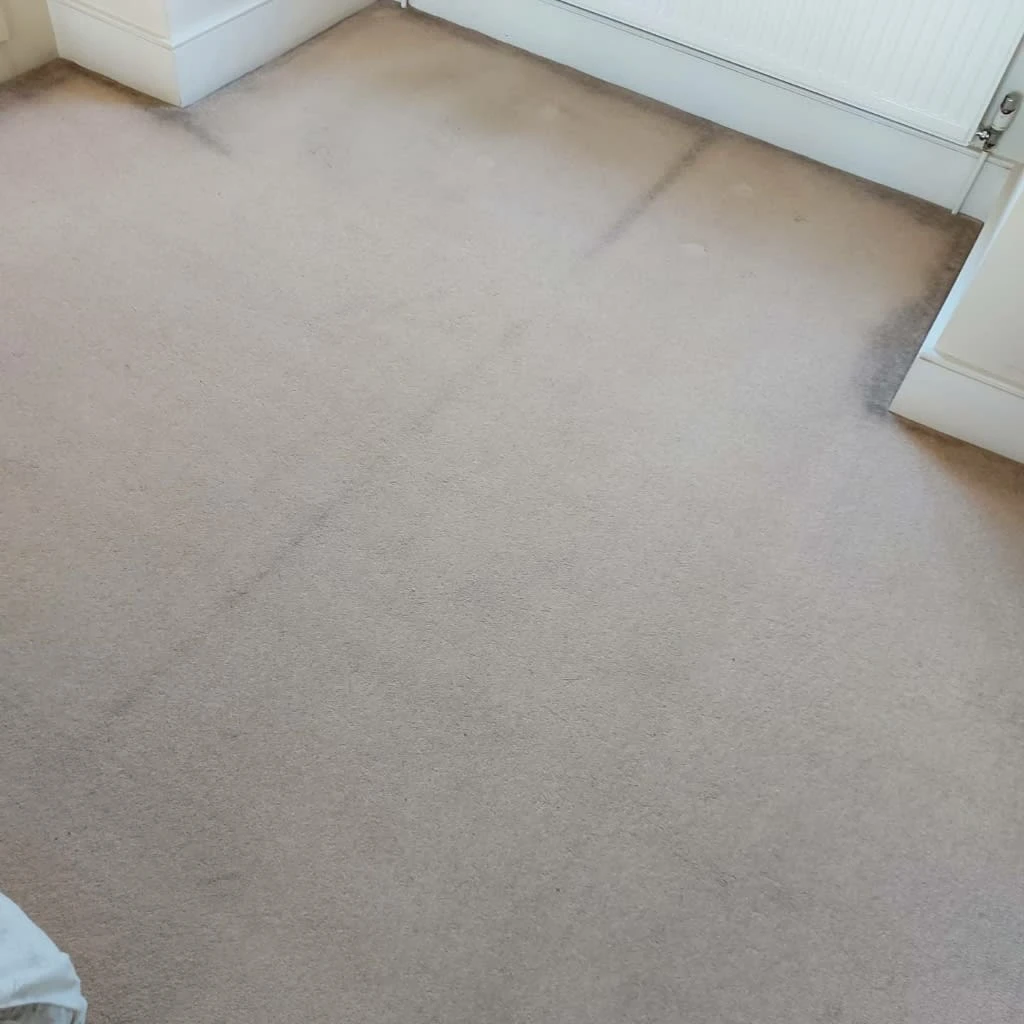 Images Titanium Cleaning