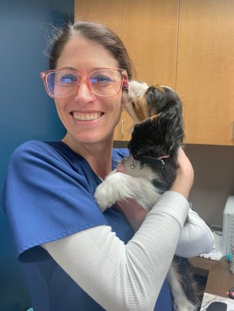 Images VCA Laguna Niguel Animal Hospital