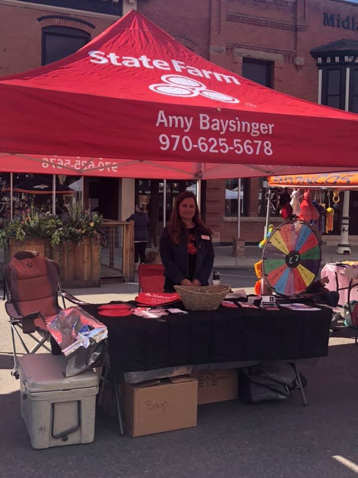 Amy Baysinger - State Farm Insurance Agent