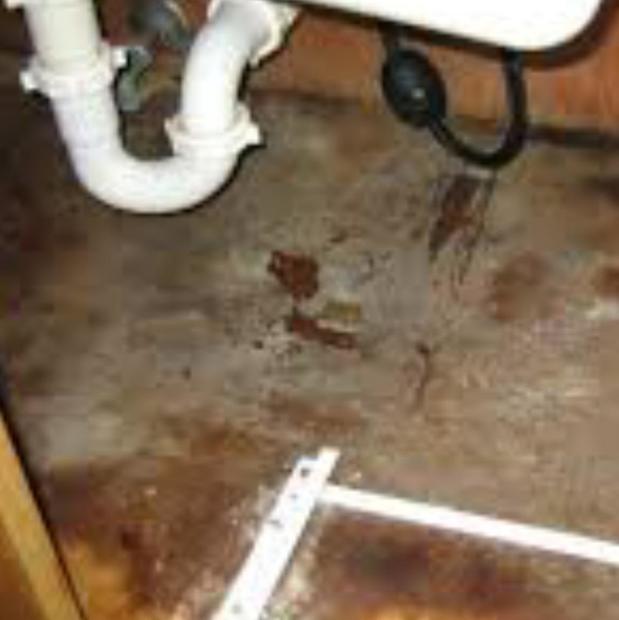 Images C-Tippit Sewers & Seepage Specialist