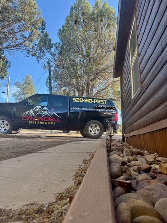 Images Crandell Pest Control