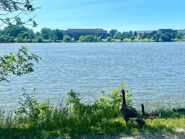 Images Staybridge Suites Great Falls by IHG