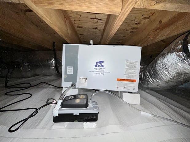 Images Ox Foundation Solutions