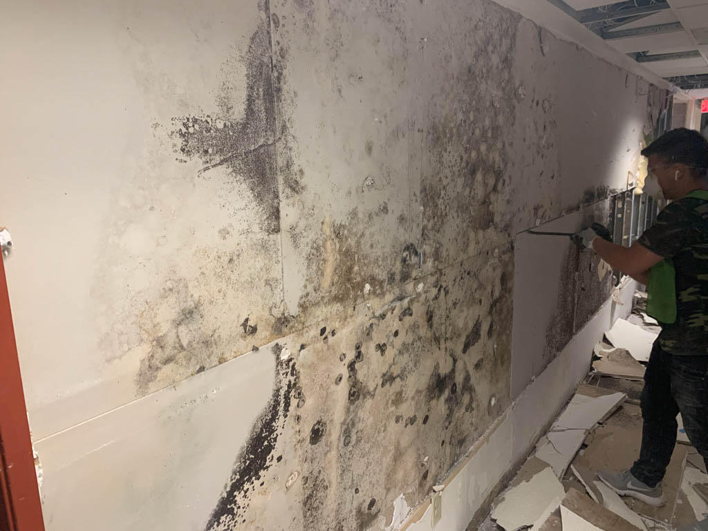 SERVPRO of Jacksonville South is highly trained and qualified to respond to any size mold remediation emergency or cleaning services. Call us!