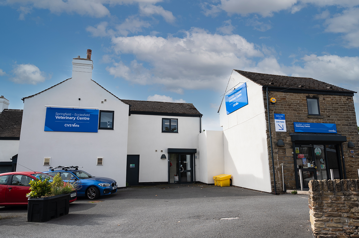 Springfield Veterinary Centre - Ecclesfield