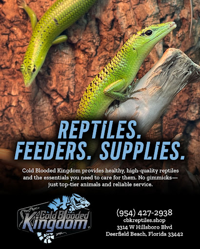 Images Cold Blooded Kingdom