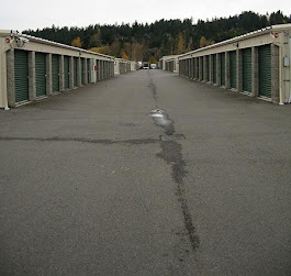 Daffodil Storage Image