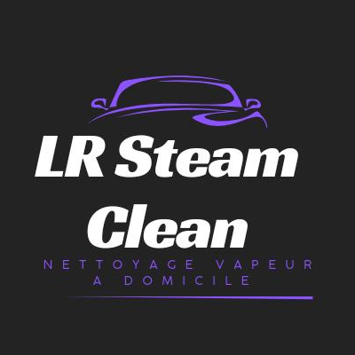 Lr Steam clean Logo