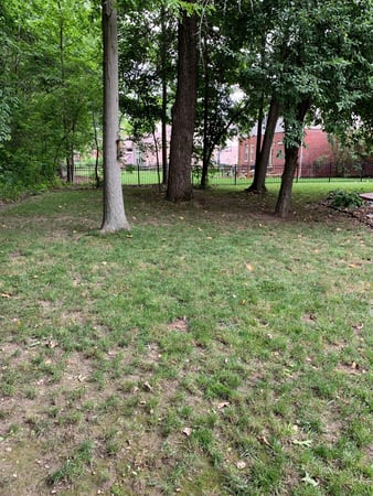 Images Ranger Landscaping