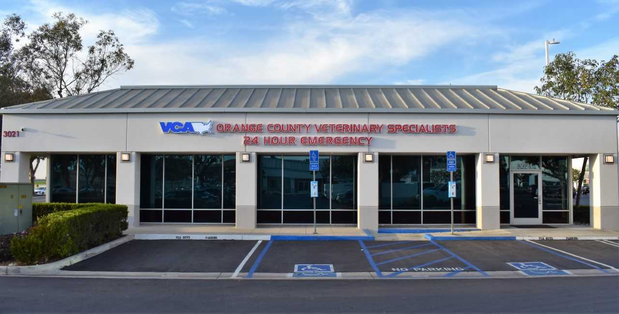 Images VCA Orange County Veterinary Specialists