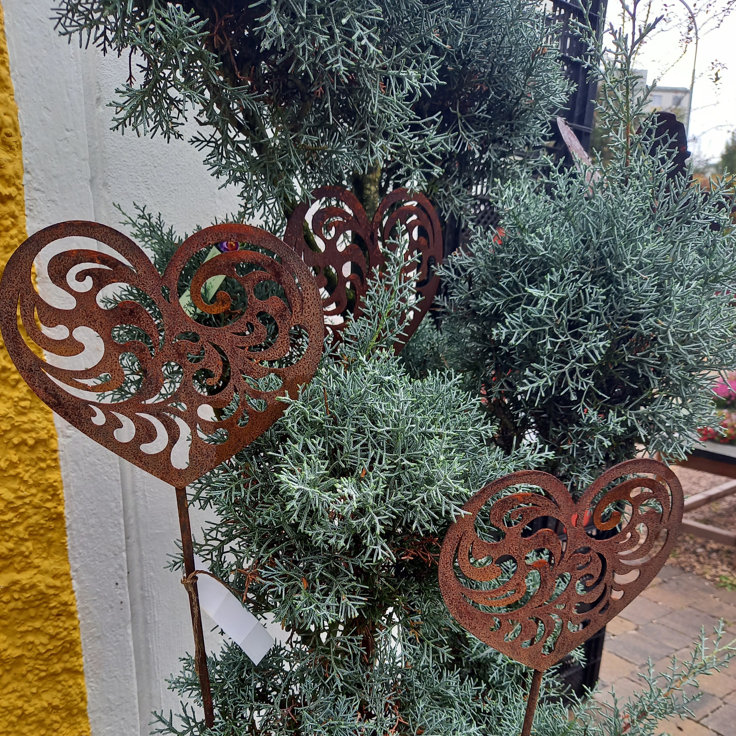 Bild 5 von Grün-Zone