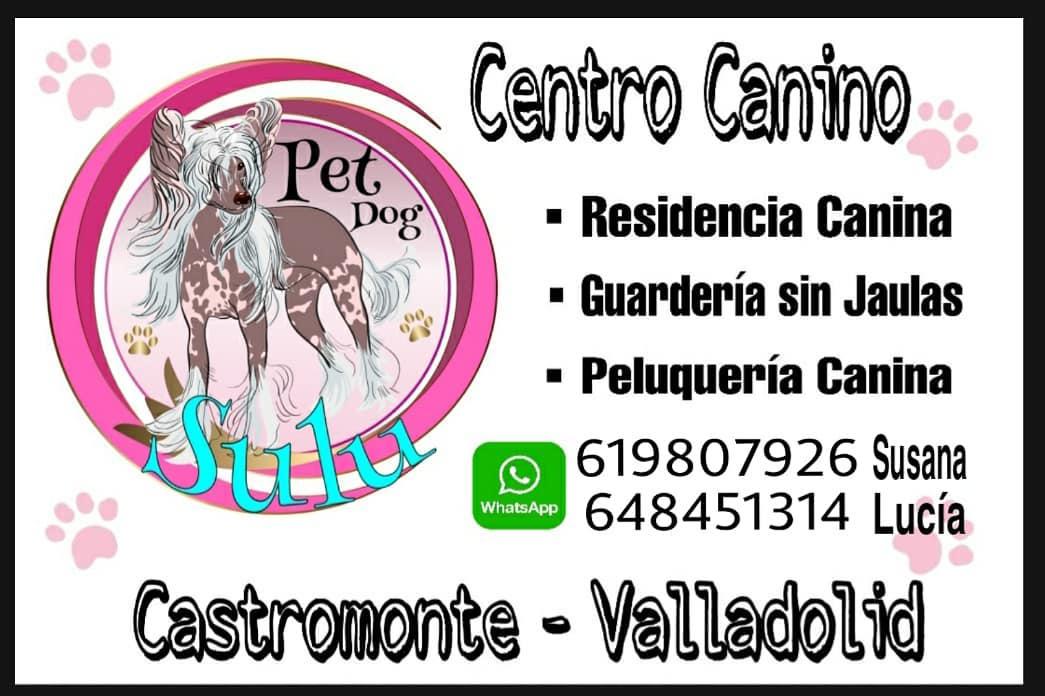 Images Centro Canino Petdogsulu