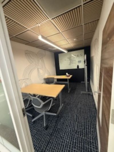 Professional Remodeling Ernesto Painting