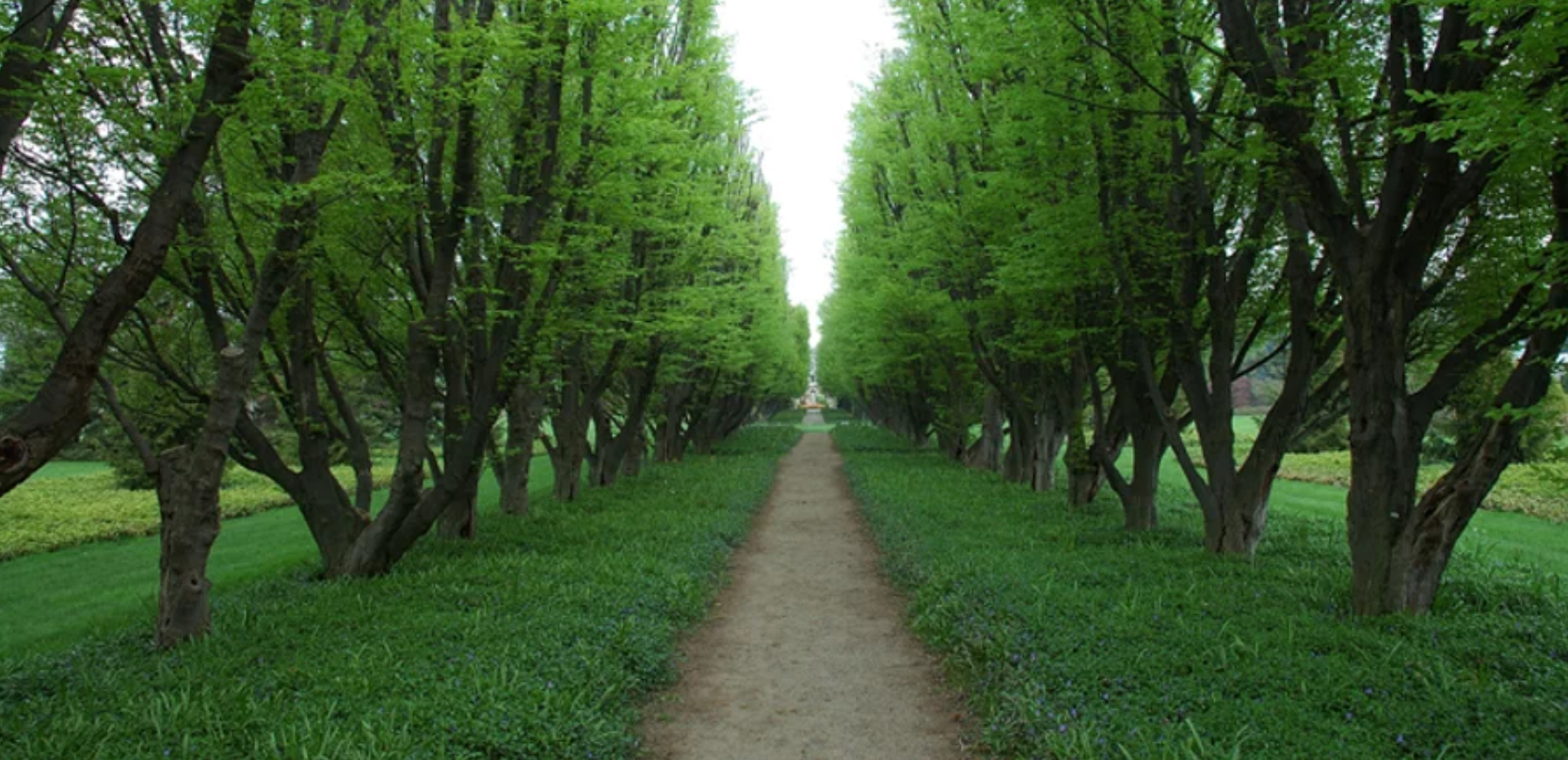 Melissa Pflasterbau, Dörflerstrasse 12 in Ingolstadt