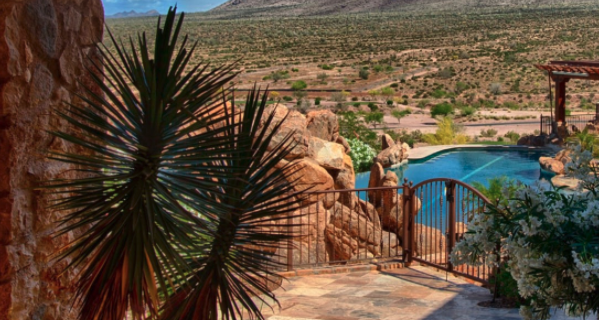 Pool Landscaping, Best Plants To Put Around a Pool No Limit Pools & Spas Mesa (602)421-9379