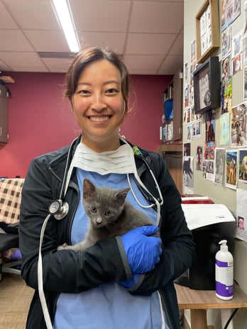 Images VCA West Los Angeles Animal Hospital