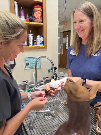 Images VCA Bent Tree Animal Hospital