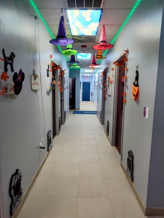 Images VCA Indian Land Animal Hospital