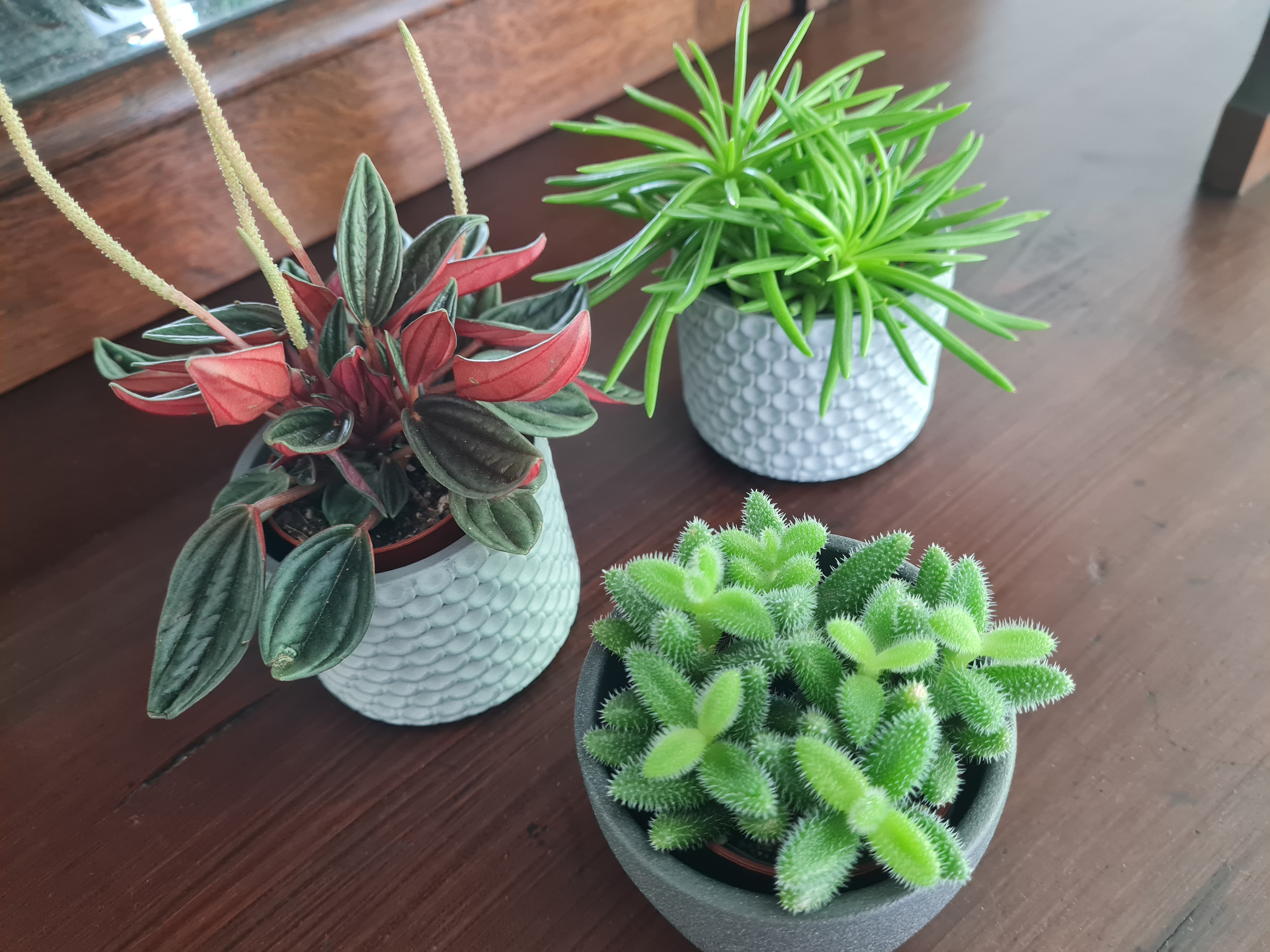 birds-nest Ferienwohnungen, Hauptstraße 17 in Darstein