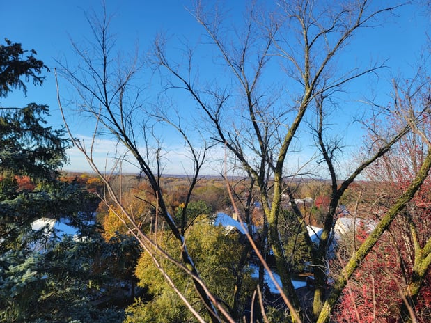 Images Enchanted Forests Inc