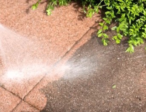Eden Property Maintenance 7