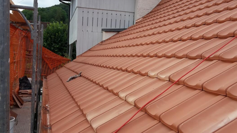 Bilder Carlo Marti Dach und Holz