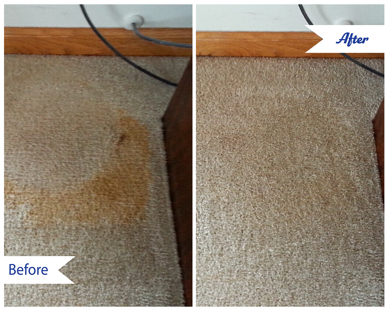 Carpet stain removal in Upland/Rancho